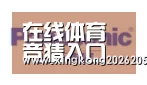 星空赛事合作伙伴四