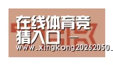 星空赛事合作伙伴二