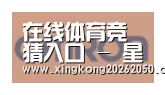 星空赛事合作伙伴五